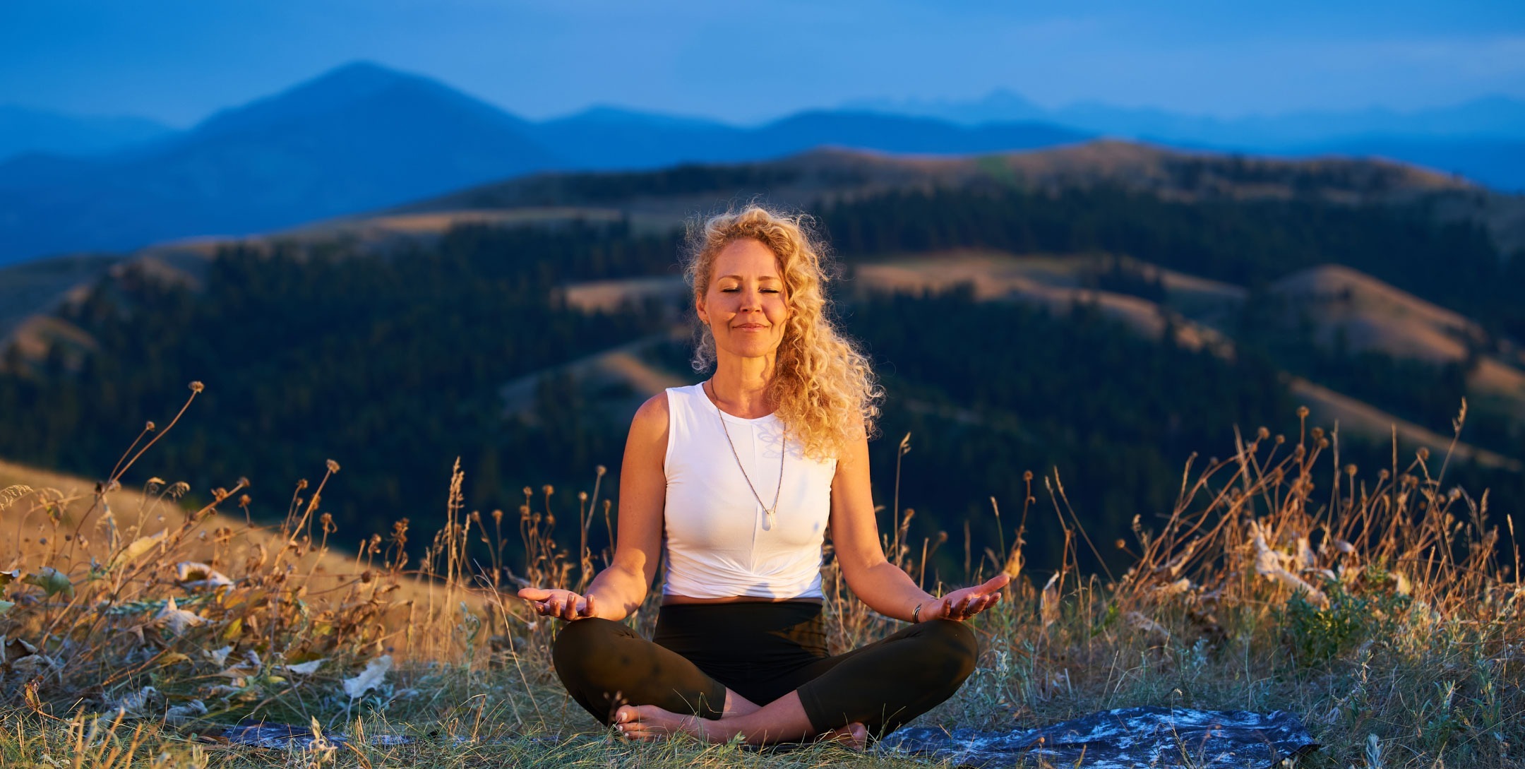 ICON Health & Fitness