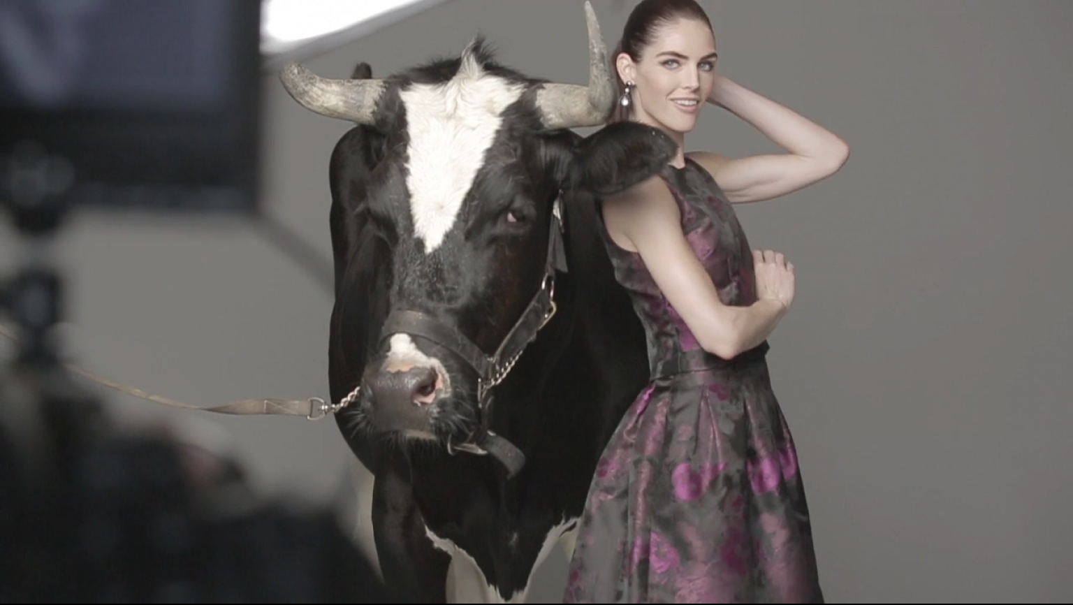 Retail Ecommerce Ventures screenshot