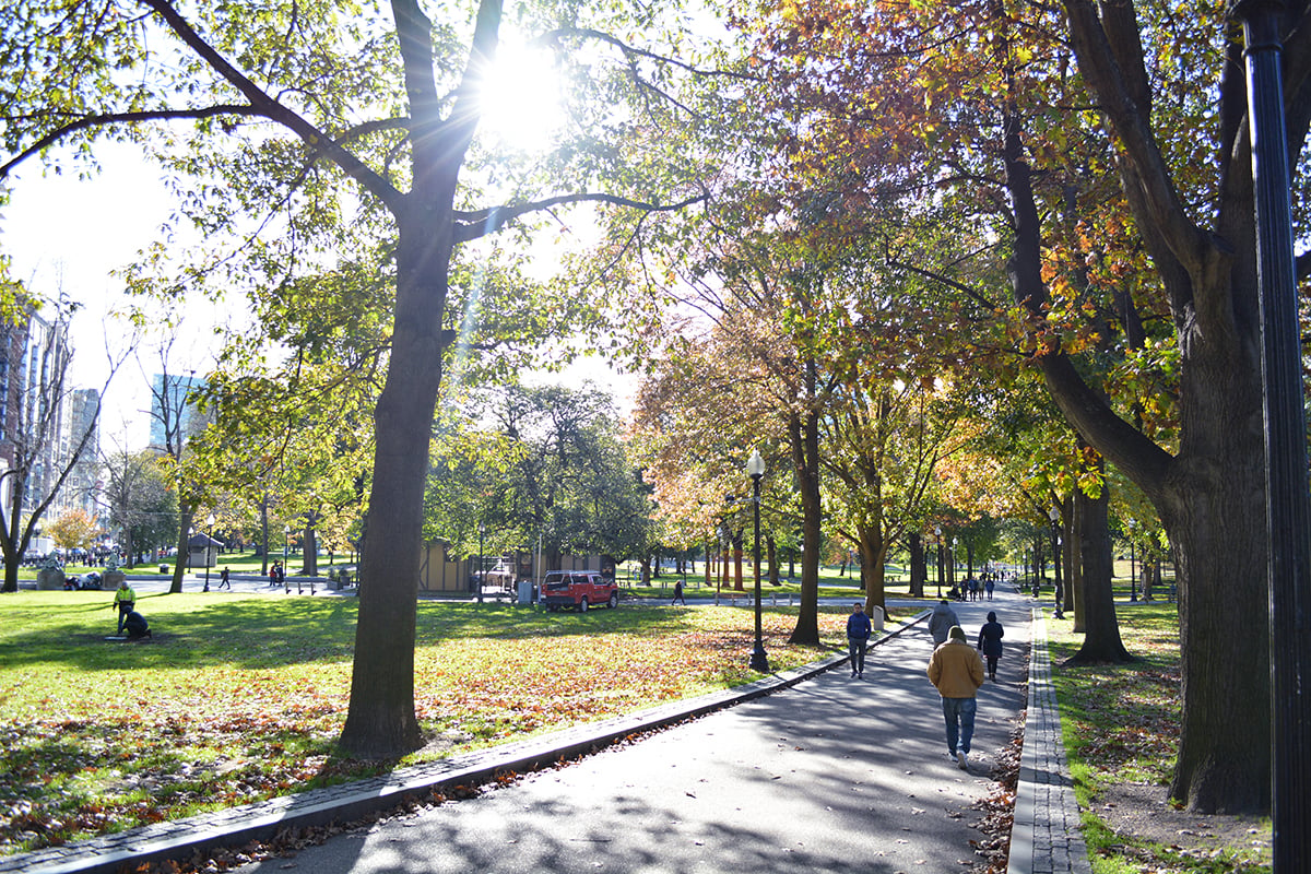 Boston-Common