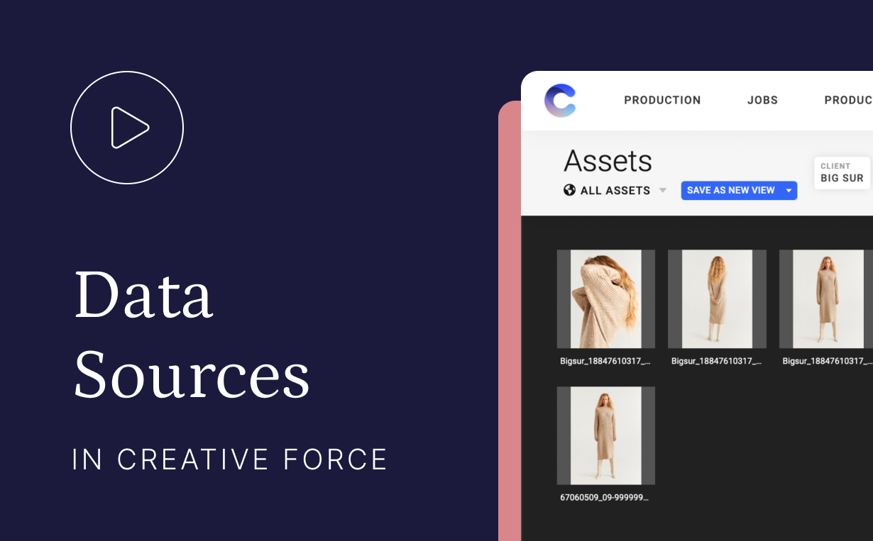 The Story of Creative Force: Identifying a New Need