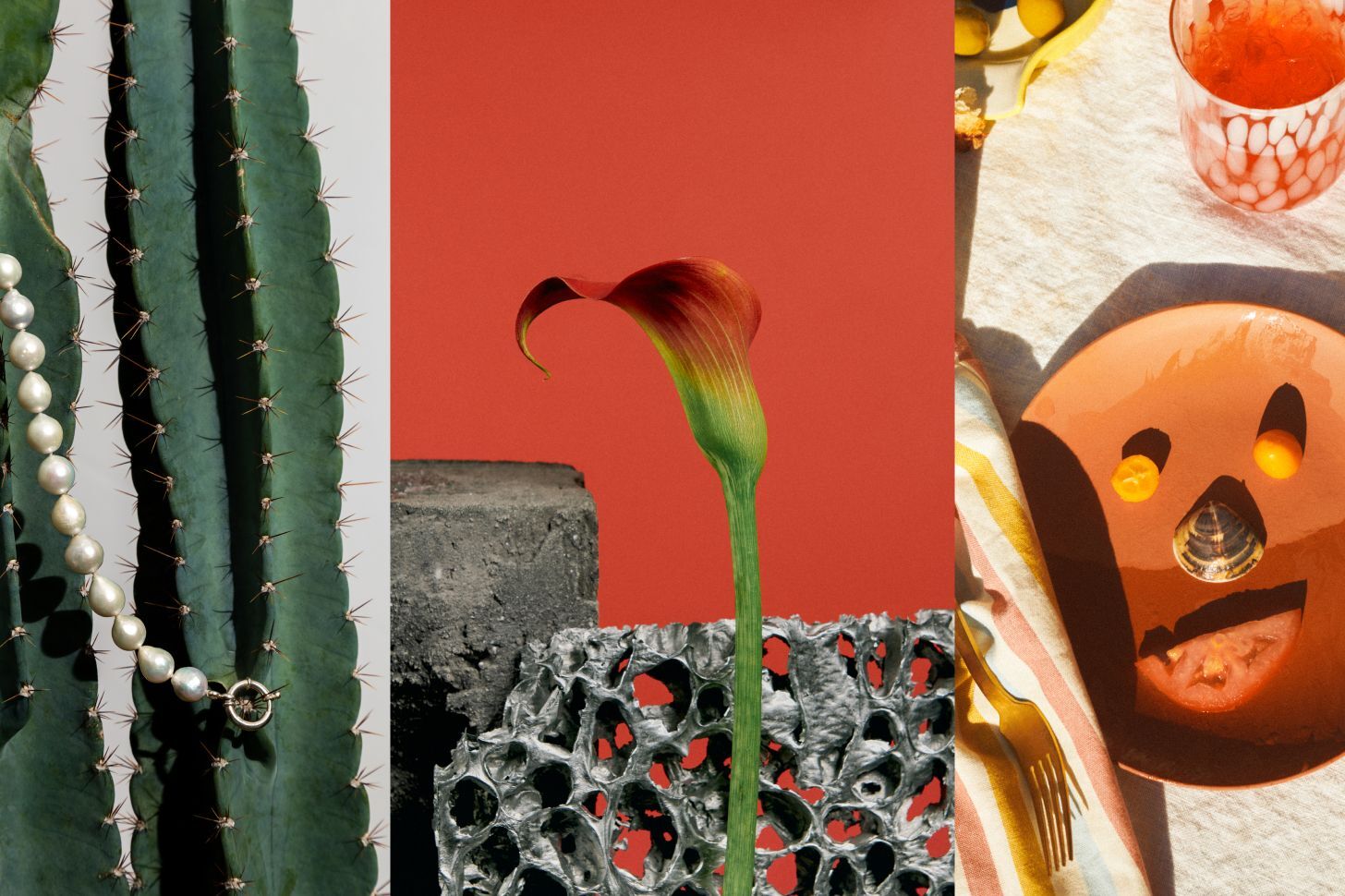 imgi_22_66afd4408e93f21a3d3d2538930fe42d937d1fdc-1456x970