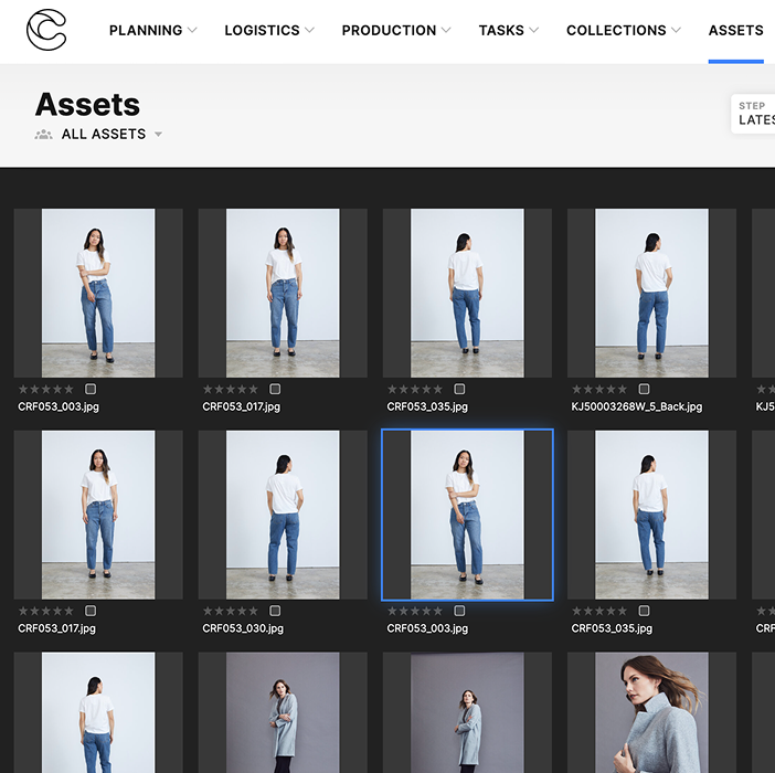 The asset library as a contact sheet, one selected frame highlighted