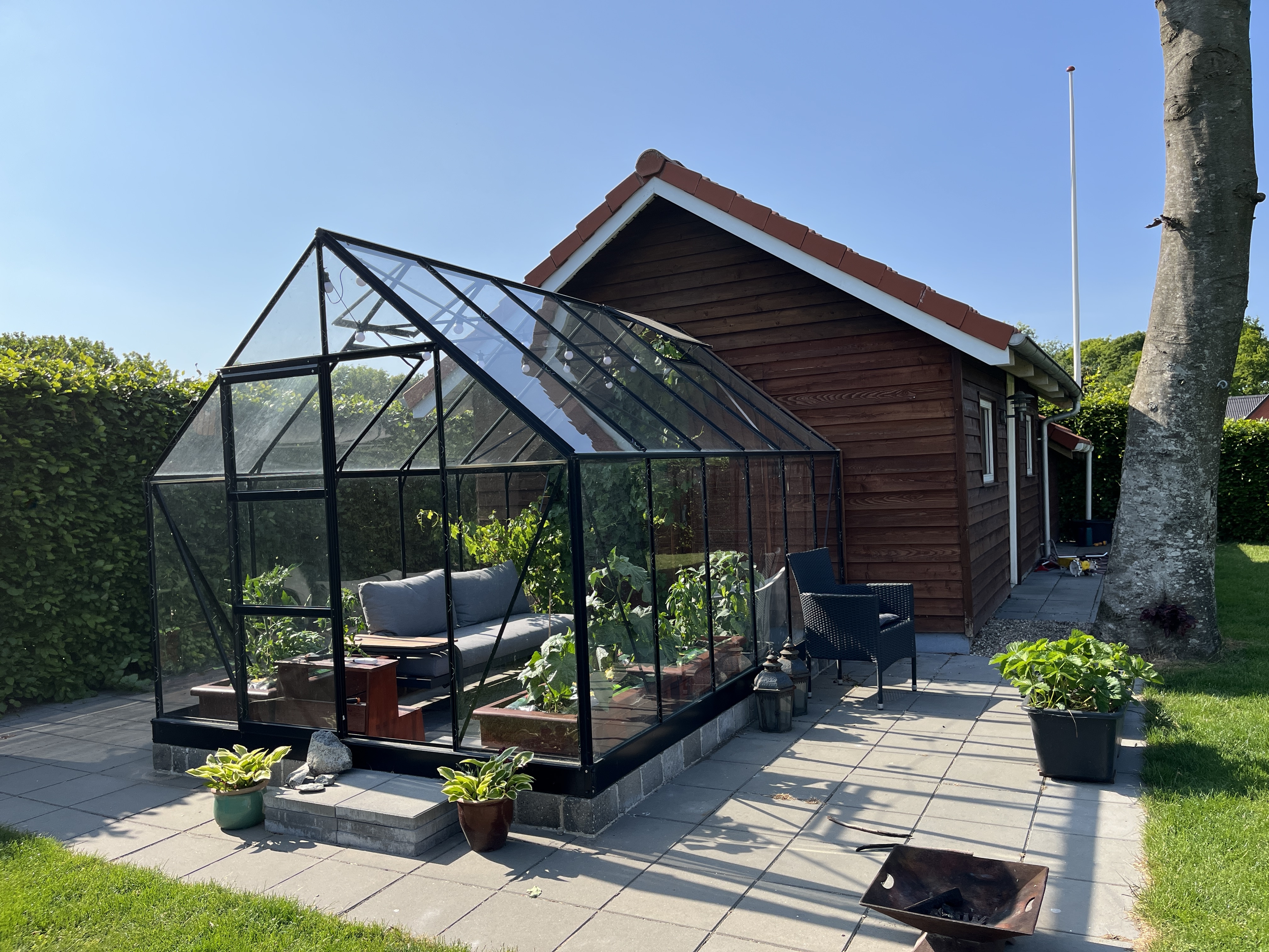 sidelmann-greenhouse